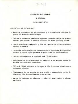 Informe sectorial - Décima Región