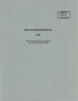Metas ministeriales 1991: síntesis estado de avance al 31 de julio de 1991