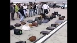 Imágenes de la revisión de equipaje en aeropuerto de Los Angeles : video