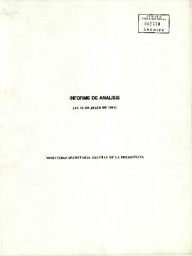 Informe de Análisis (al 12 de julio de 1991)