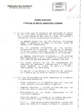 Resumen Ejecutivo Situación de Empleo Carbonífera Schwager
