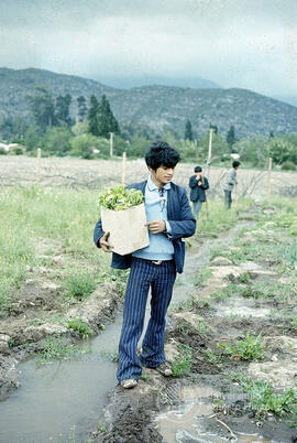 Joven sosteniendo un paquete de hortalizas
