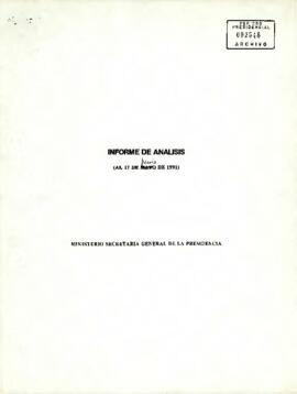 Informe de Análisis (al 17 de junio de 1991)