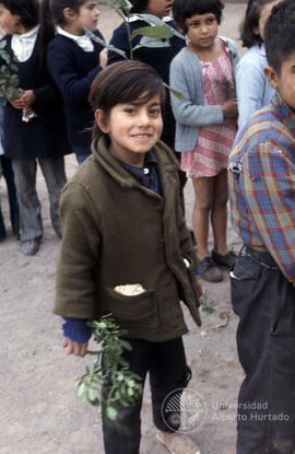 Niño con planta en la mano