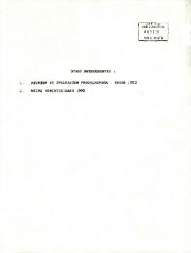 Otros Antecedentes: 1. Reunión de evaluación programática enero - 1992, 2. Metas ministeriales 1992.