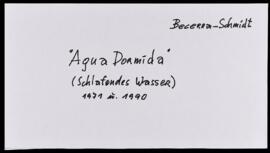 Agua dormida