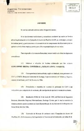 Informe sobre la Compañía de Acero del Pacífico y el proceso de su privatización