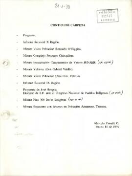 Contenido Carpeta [Minutas de algunos viajes y actividades del Presidente Patricio Aylwin Azócar]