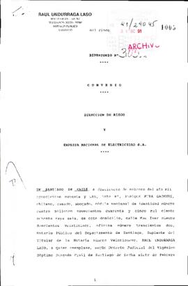 [Copia de Convenio Dirección de Riego y Empresa Nacional de Electricidad S.A.]
